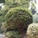 Living .... Mit Grossem Garten . شقة Halver