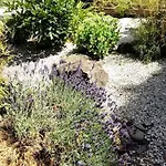 شقة Living .... Mit Grossem Garten .