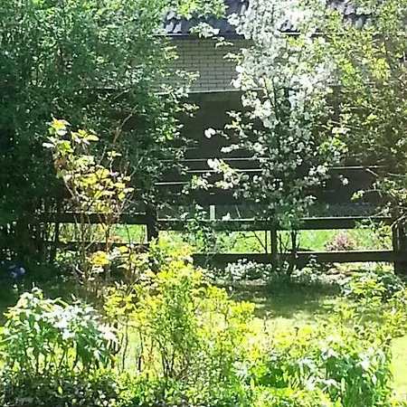 Living .... Mit Grossem Garten . Апартаменты *