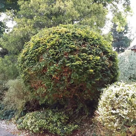 Living .... Mit Grossem Garten . Apartamento Halver