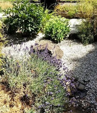 Апартаменты Living .... Mit Grossem Garten .