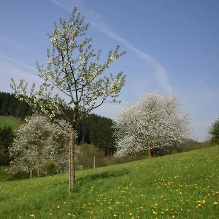 Living .... Mit Grossem Garten . * Halver