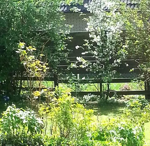 Living .... Mit Grossem Garten . Appartamento *