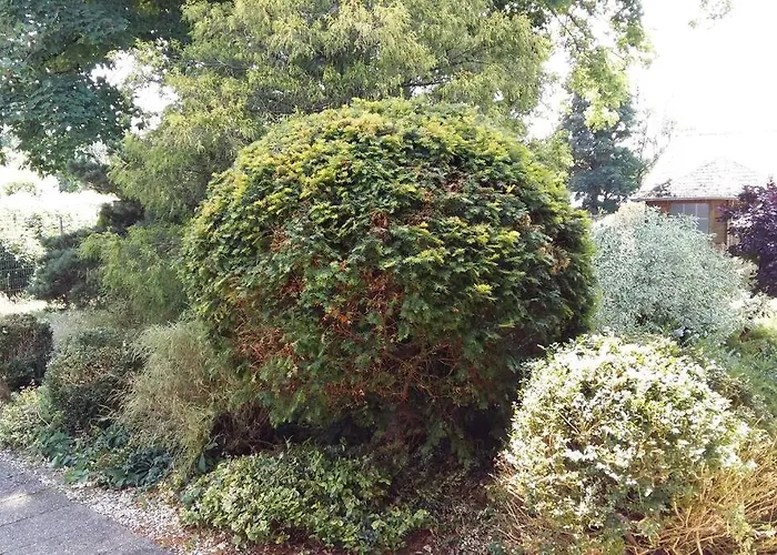 Living .... Mit Grossem Garten . Appartamento Halver