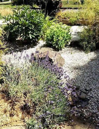 Appartamento Living .... Mit Grossem Garten .