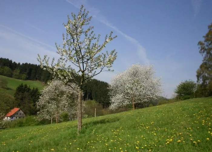 Living .... Mit Grossem Garten . * Halver