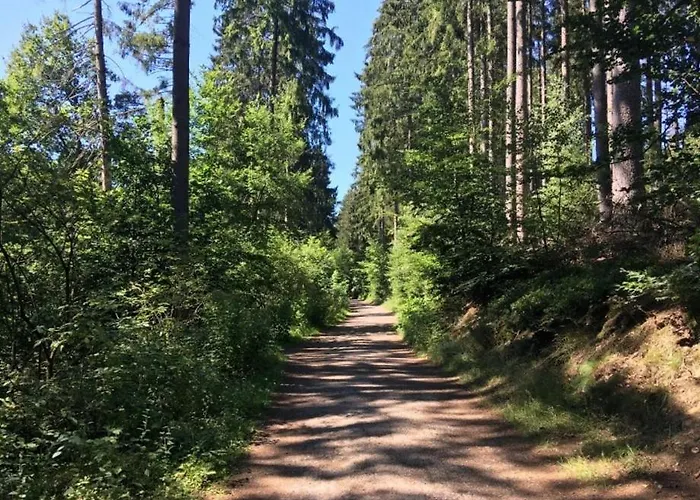 Living .... Mit Grossem Garten . Appartamento *