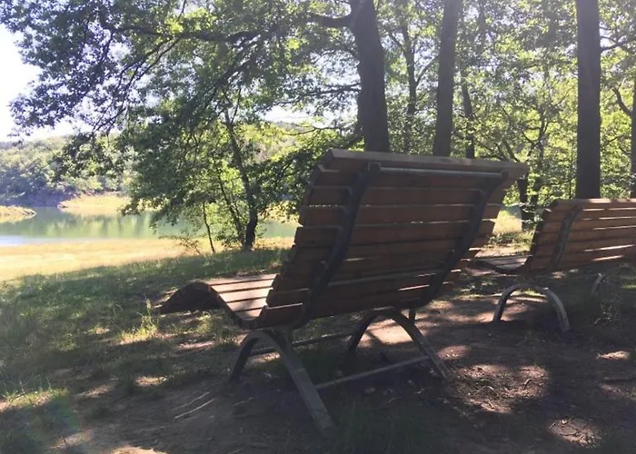 Living .... Mit Grossem Garten . Appartamento *